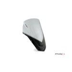 PUIG FZ6 S2 2007 VISEIRA RACING FUMADA PUIG FZ6 S2 2007 VISEIRA RACING FUMADA