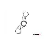 PUIG YZF-R1 2009-11 PROTECTOR PLATINA XTREME CARBONO PUIG YZF-R1 2009-11 PROTECTOR PLATINA XTREME CARBONO