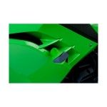PUIG NINJA 300 2013-15 PROTETOR DE MOTOR R12 VERDE PUIG NINJA 300 2013-15 PROTETOR DE MOTOR R12 VERDE