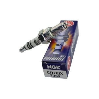 FE SPARK PLUG NGK CREIX