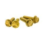 DIRT FREAK PARAFUSO FLANGE M6 30mm DOURADO 4 UNID DIRT FREAK PARAFUSO FLANGE M6 30mm DOURADO 4 UNID