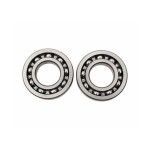 HOT RODS YZ250F 03-09 ROLAMENTO CAMBOTA