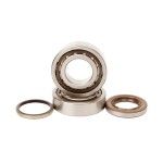 HOT RODS KTM 250SX/EXC-F 2006-07 ROLAMENTO CAMBOTA HOT RODS KTM 250SX/EXC-F 2006-07 ROLAMENTO CAMBOTA