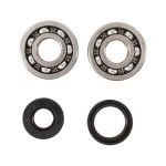 HOT RODS KX125 1988-05 JOGO ROLAMENTOS E VEDANTES CAMBOTA