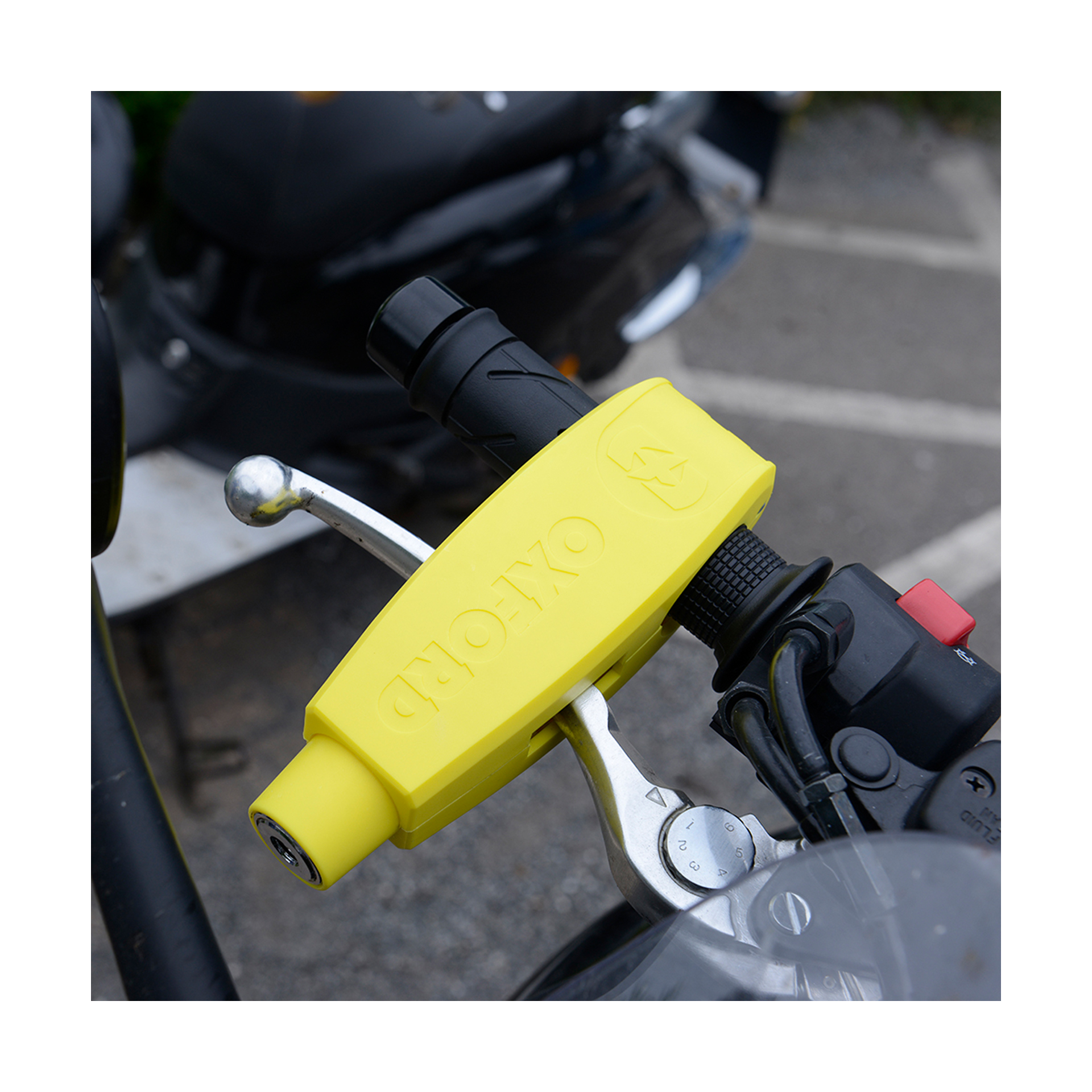 OXFORD ALOQUETE MANETE AMARELO OXFORD ALOQUETE MANETE AMARELO