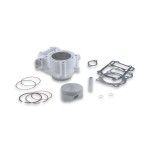 MALOSSI CILINDRO CB125R H2O I-TECH MALOSSI CILINDRO CB125R H2O I-TECH