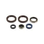 ATHENA KTM 125 JOGO VEDANTES COMPLETO ATHENA KTM 125 JOGO VEDANTES COMPLETO