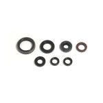 ATHENA YZ250F 2001-07 JG VEDANTES MOTOR ATHENA YZ250F 2001-07 JG VEDANTES MOTOR