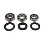 PIVOT GAS GAS EC 300 KIT RODA TRAS PIVOT GAS GAS EC 300 KIT RODA TRAS
