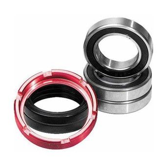 PIVOT CRF250/CRF450 2002-13 RODA TRAS