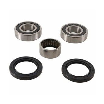 PIVOT R1/R6/FZ6 ROLAMENTOS RODA TRAS