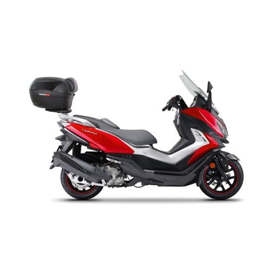SHAD CRUISYM 125i/300i 2018 TM SHAD CRUISYM 125i/300i 2018 TM