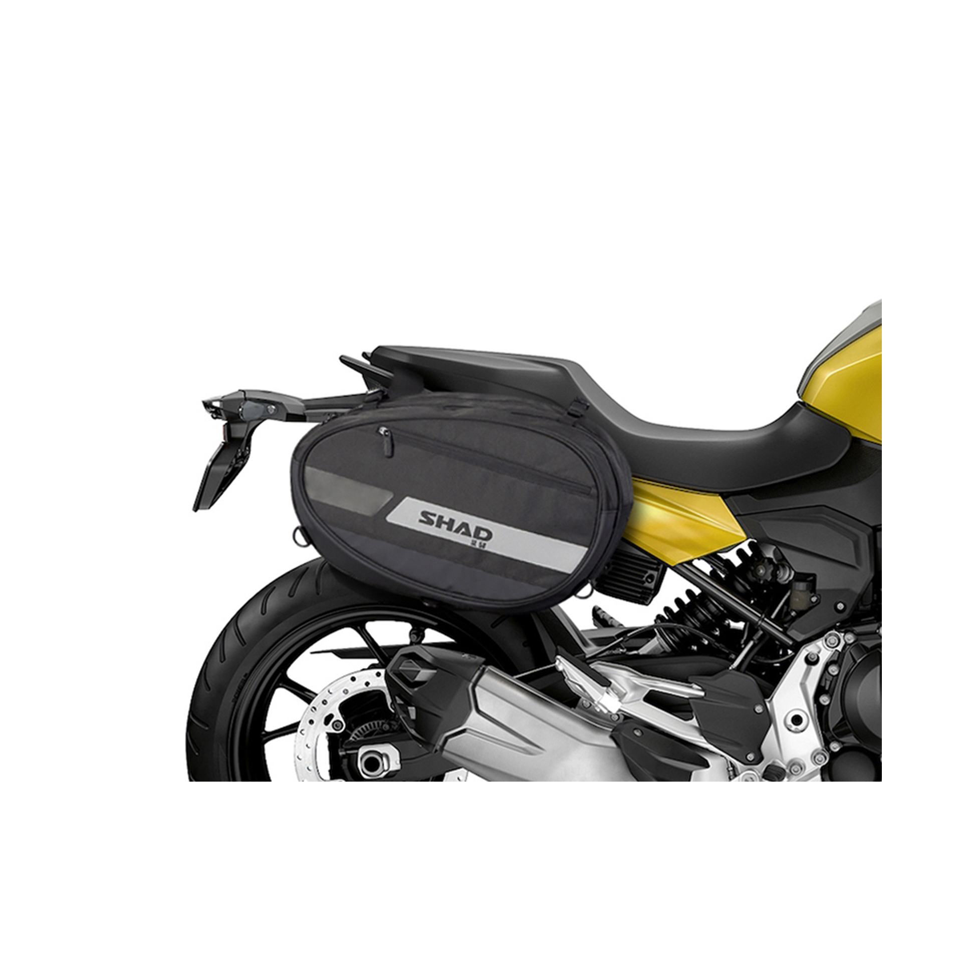 SHAD F900 XR 2020/21 SIDE