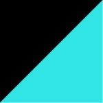 1076-BLK/TURQ