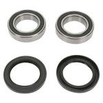 PIVOT WARRIOR RODA TRAS PIVOT WARRIOR RODA TRAS