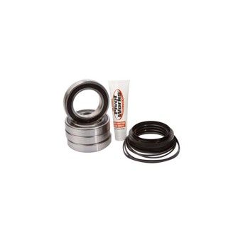 PIVOT RAPTOR700 KIT RODA TRAS