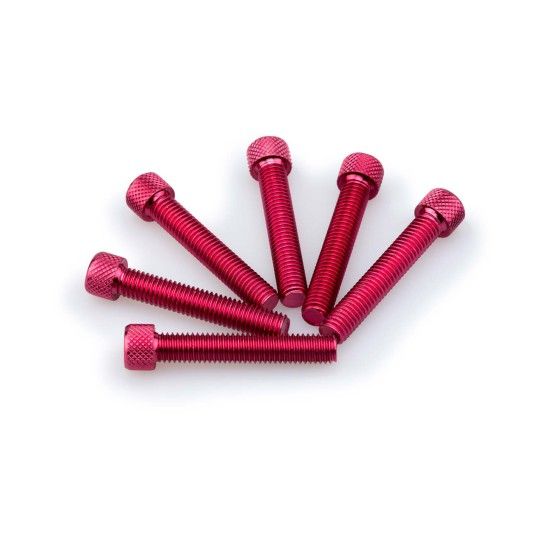 PUIG UNIVERSAL KIT PARAFUSOS ABOMBADOS VERMELHOS8X45