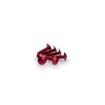 PUIG UNIVERSAL KIT PARAFUSO ABOMBADO VERMELHO PUIG UNIVERSAL KIT PARAFUSO ABOMBADO VERMELHO