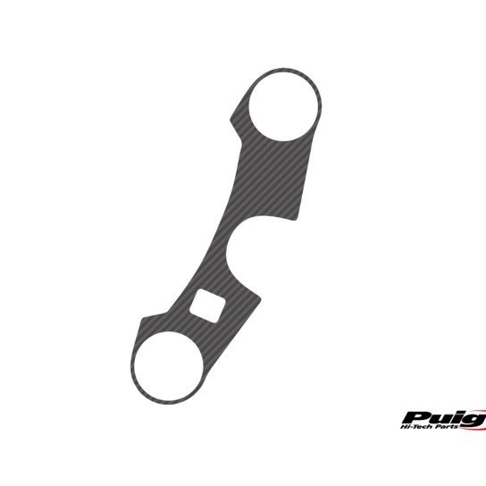 PUIG GSX-R1000 2005-06 PROTECTOR PLATINA XTREME CARBONO