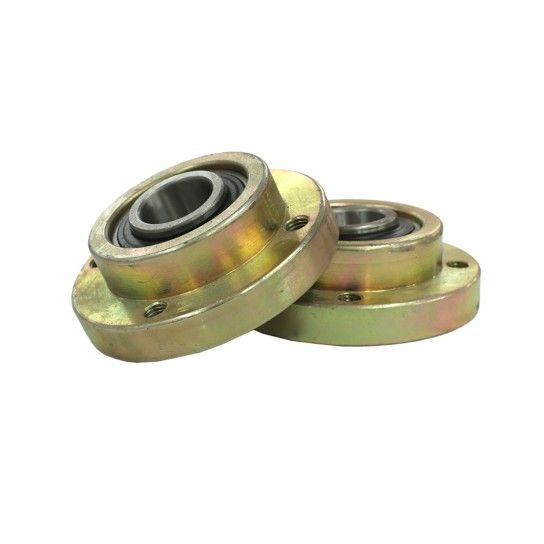 BEARINGS FOR ROTOR