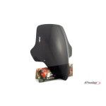 PUIG FZ1 FAZER 2006-15 VISEIRA TOURING FUMADO