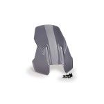 PUIG H-D PAN AMERICA 1250 2021-24 VISEIRA TOURING FUMADA ESC
