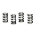 MALOSSI KIT MOLAS EMBRAIAGEM PIT BIKE - MINI GP
