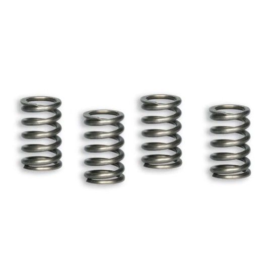 MALOSSI KIT MOLAS EMBRAIAGEM PIT BIKE - MINI GP