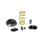 MALOSSI VARIADOR MALAGUTI 100 CIAK/F12 PHANTOM MALOSSI VARIADOR MALAGUTI 100 CIAK/F12 PHANTOM