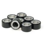 MALOSSI KIT ROLETOS 25x14,9 gr.14