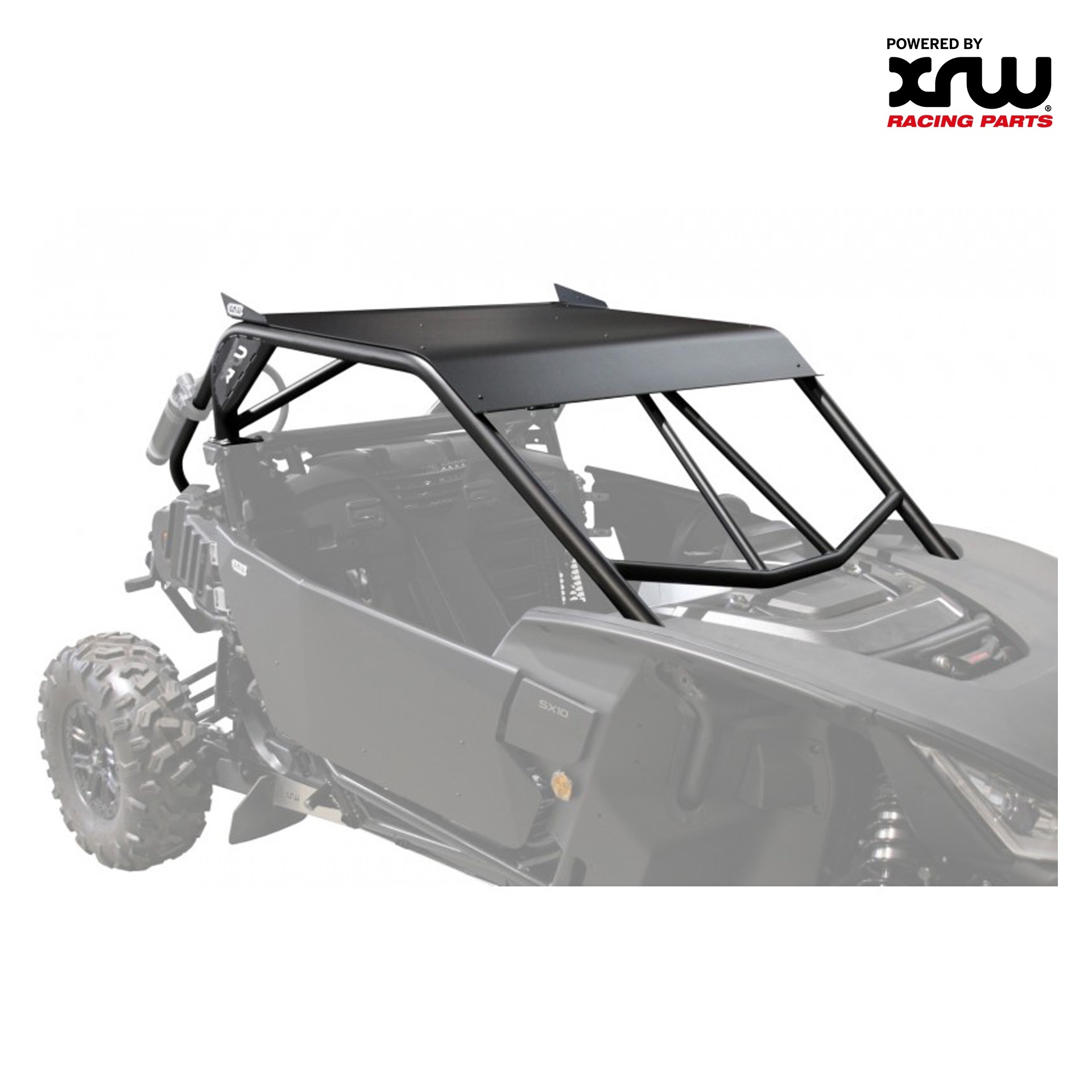 ROLL CAGE BLACK (STANDARD) - SEGWAY VILLAIN SX10