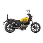 SHAD SUPERLIGHT 125-BLACKSTER 250 RESPALDO