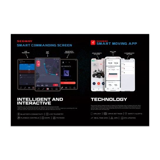 POSTER WITH FRAME (SMART COMMANDING)