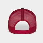 ALPINESTARS BONE FLAG SNAPBACK