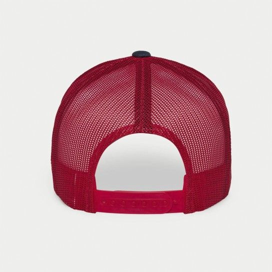 ALPINESTARS BONE FLAG SNAPBACK