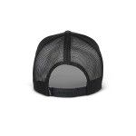 ALPINESTARS CAP FLAG SNAPBACK