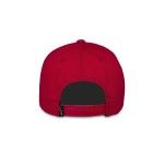 ALPINESTARS BONE AGELESS SNAPBACK ALPINESTARS BONE AGELESS SNAPBACK