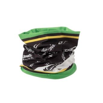 GOLA KAWASAKI WSBK 2024