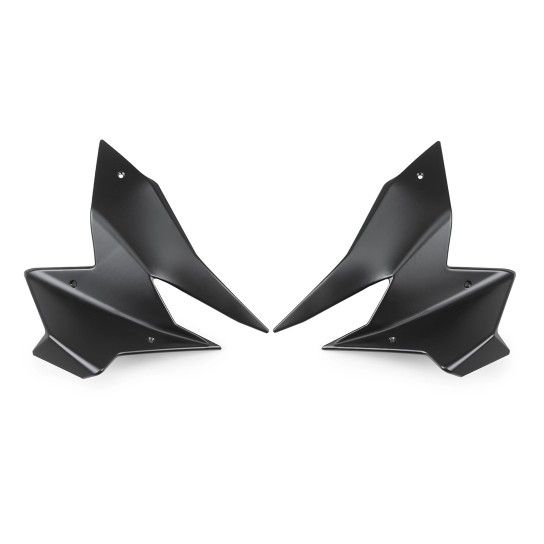 PUIG R1300GS 2023-25 SPOILERS FRONTAL PRETO PISTA #5